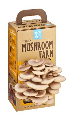 Back-to-the-roots Mushroom Farm