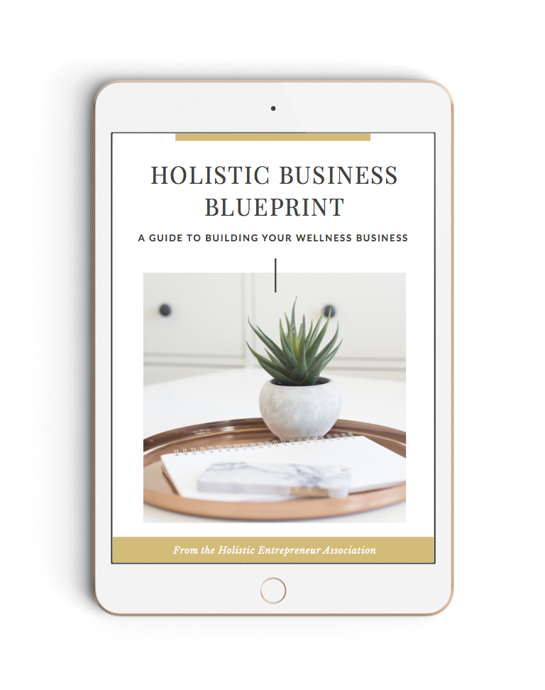 Download-the-Holistic-Business-Blueprint