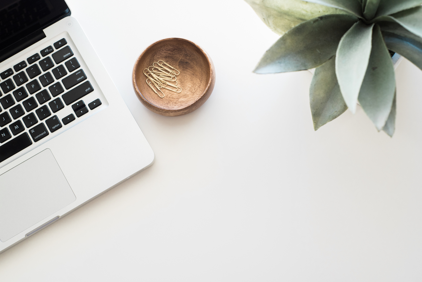 Inspirational Entrepreneur: Kim Klein